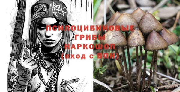дживик Лабытнанги