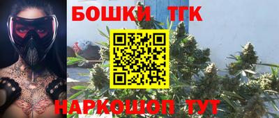МДПВ Пенза