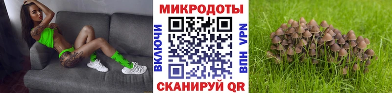 Псилоцибиновые грибы ЛСД  Переславль-Залесский 