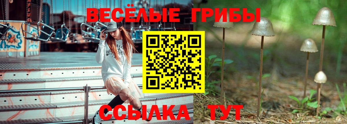 Псилоцибиновые грибы мицелий Переславль-Залесский