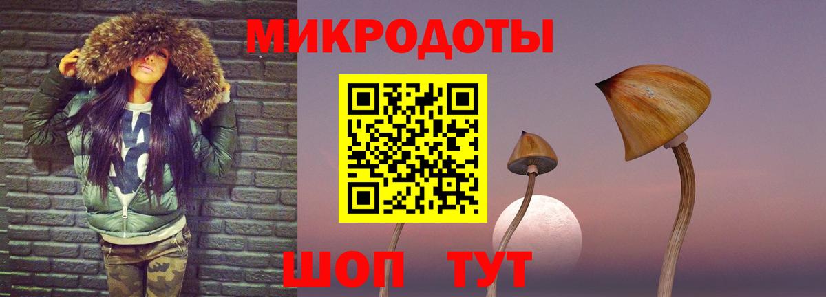 Переславль-Залесский  Галлюциногенные грибы Magic Shrooms  продажа наркотиков  Вход с VPN 
